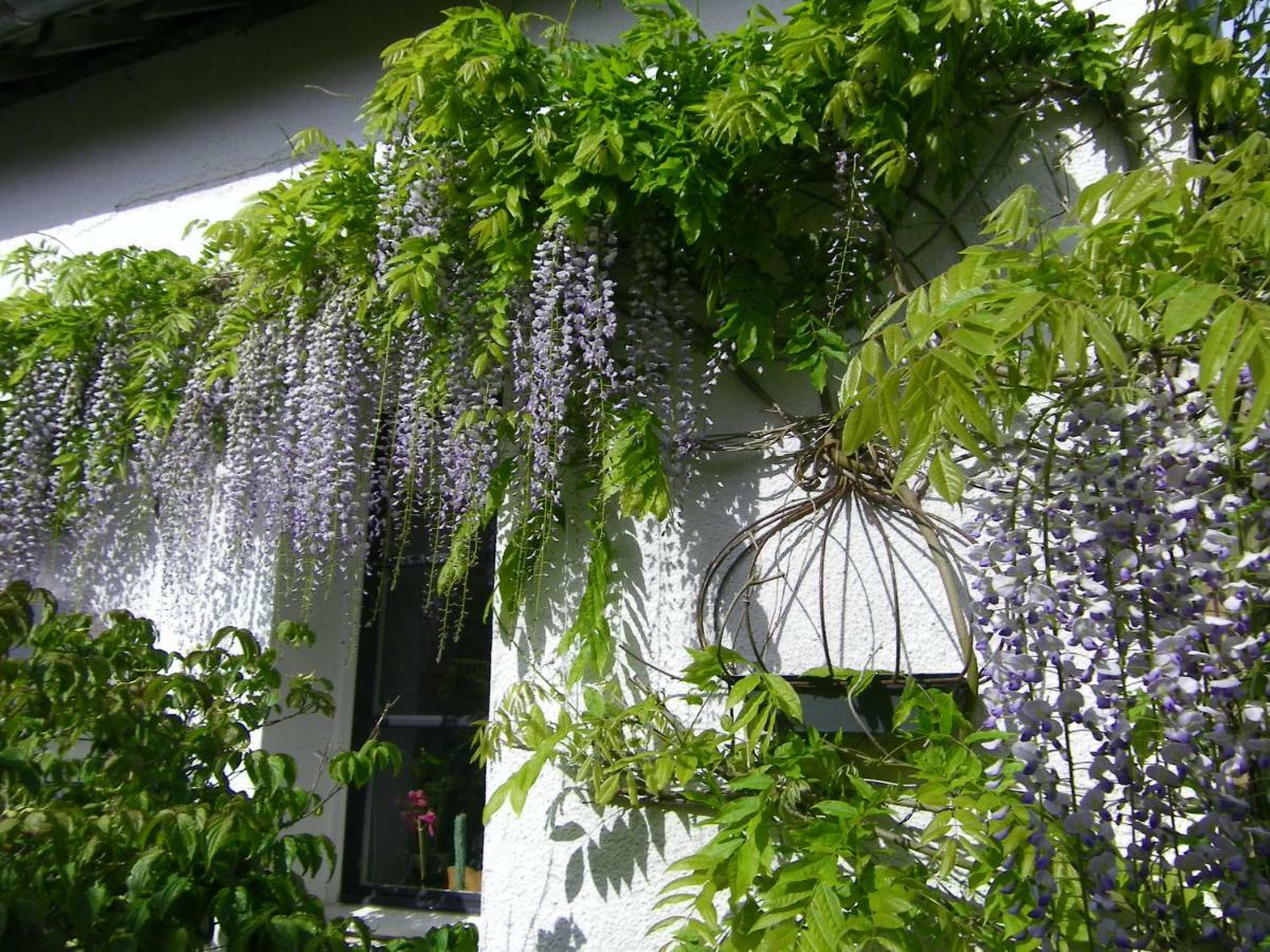 La Colline Des Roses Bed and Breakfast Conchil-le-Temple Exteriör bild